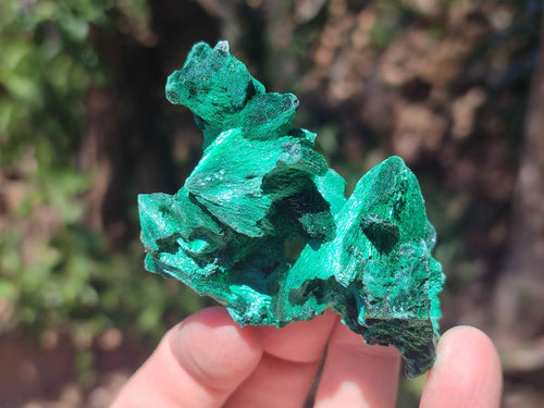 Natural Silky Malachite Specimens x 12 From Kasompe, Congo