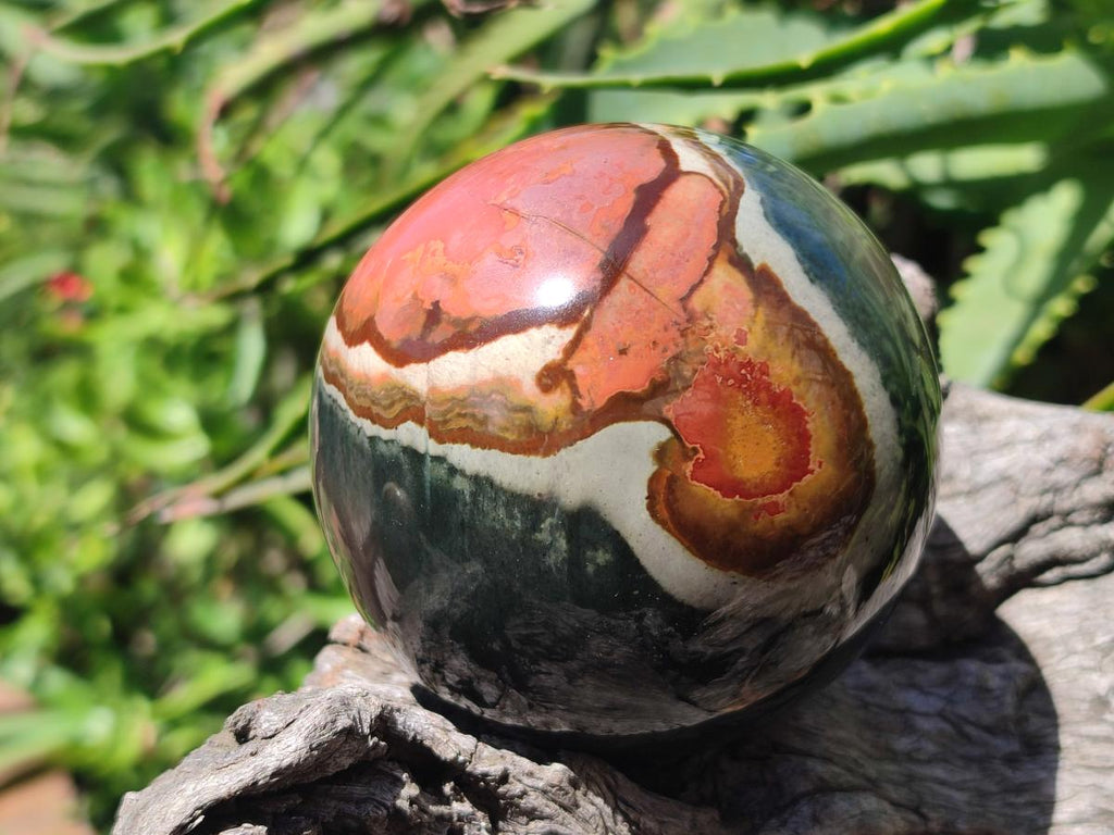 Polished Polychrome Jasper Spheres x 2 From Androka, Madagascar