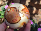 Polished Polychrome Jasper Spheres x 2 From Androka, Madagascar
