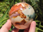 Polished Polychrome Jasper Spheres x 2 From Androka, Madagascar