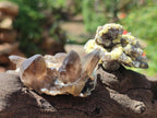Natural Mix of Mineral Specimens x 49 From Erongo, Namibia - Toprock Gemstones and Minerals 
