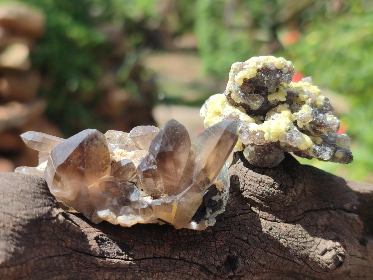 Natural Mix of Mineral Specimens x 49 From Erongo, Namibia - Toprock Gemstones and Minerals 