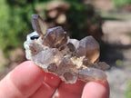 Natural Mix of Mineral Specimens x 49 From Erongo, Namibia - Toprock Gemstones and Minerals 