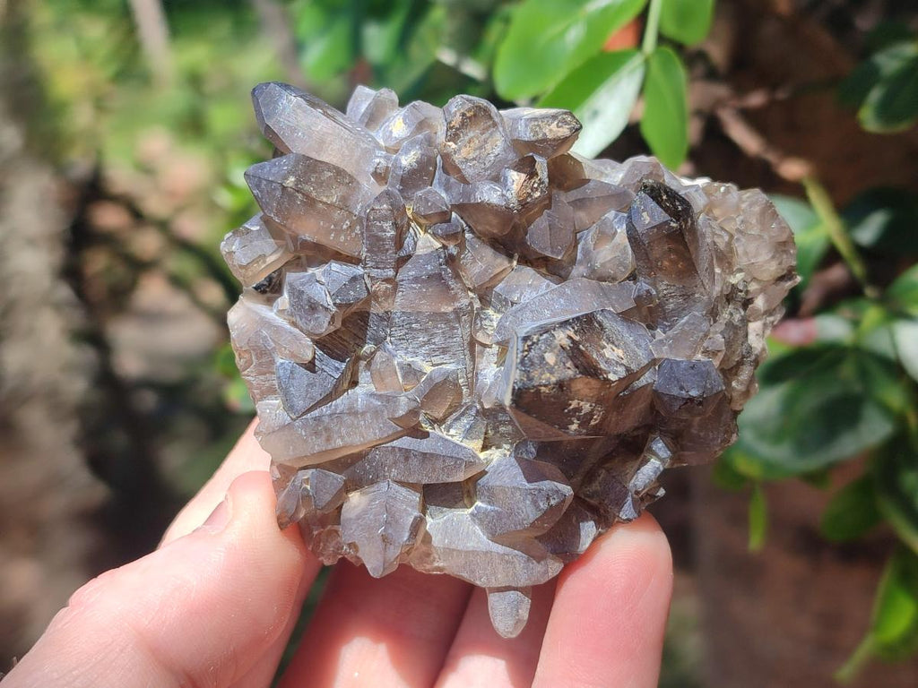 Natural Mix of Mineral Specimens x 49 From Erongo, Namibia - Toprock Gemstones and Minerals 