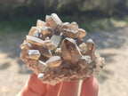 Natural Mix of Mineral Specimens x 49 From Erongo, Namibia - Toprock Gemstones and Minerals 