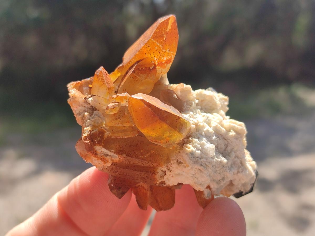 Natural Mix of Mineral Specimens x 49 From Erongo, Namibia - Toprock Gemstones and Minerals 