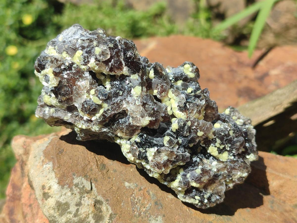 Natural Mix of Mineral Specimens x 49 From Erongo, Namibia - Toprock Gemstones and Minerals 