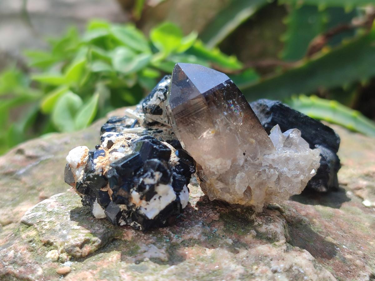 Natural Mix of Mineral Specimens x 49 From Erongo, Namibia - Toprock Gemstones and Minerals 