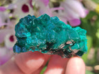 Natural Dioptase Specimens on Dolomite Matrix x 12 From Tantara Mine, Congo