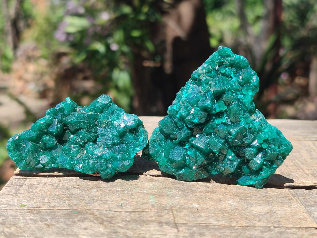 Natural Dioptase Specimens on Dolomite Matrix x 12 From Tantara Mine, Congo