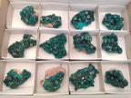 Natural Dioptase Specimens on Dolomite Matrix x 12 From Tantara Mine, Congo