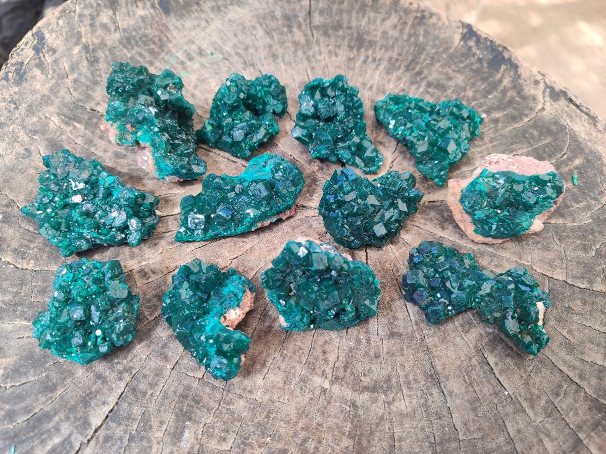 Natural Dioptase Specimens on Dolomite Matrix x 12 From Tantara Mine, Congo