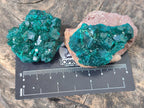 Natural Dioptase Specimens on Dolomite Matrix x 12 From Tantara Mine, Congo
