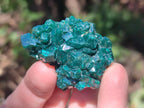 Natural Dioptase Specimens on Dolomite Matrix x 12 From Tantara Mine, Congo