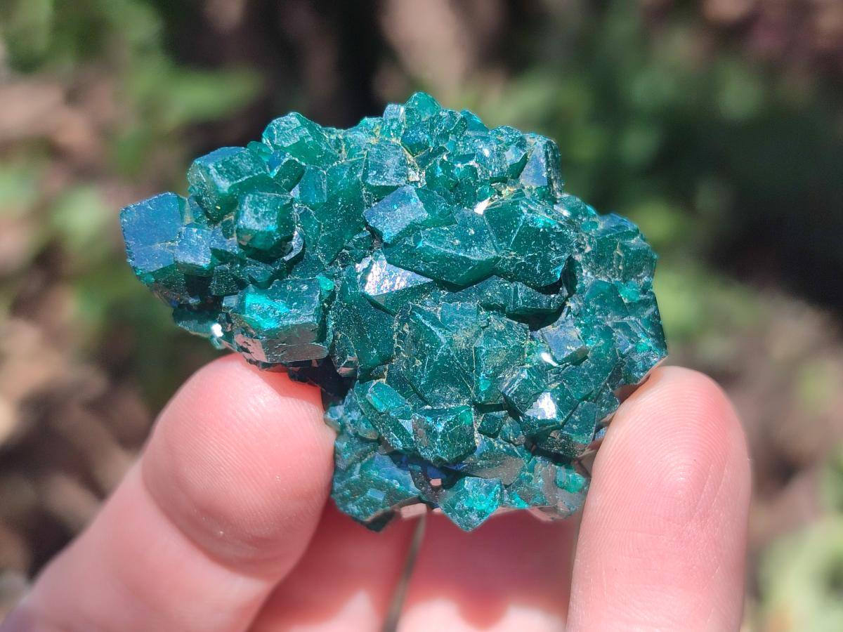 Natural Dioptase Specimens on Dolomite Matrix x 12 From Tantara Mine, Congo