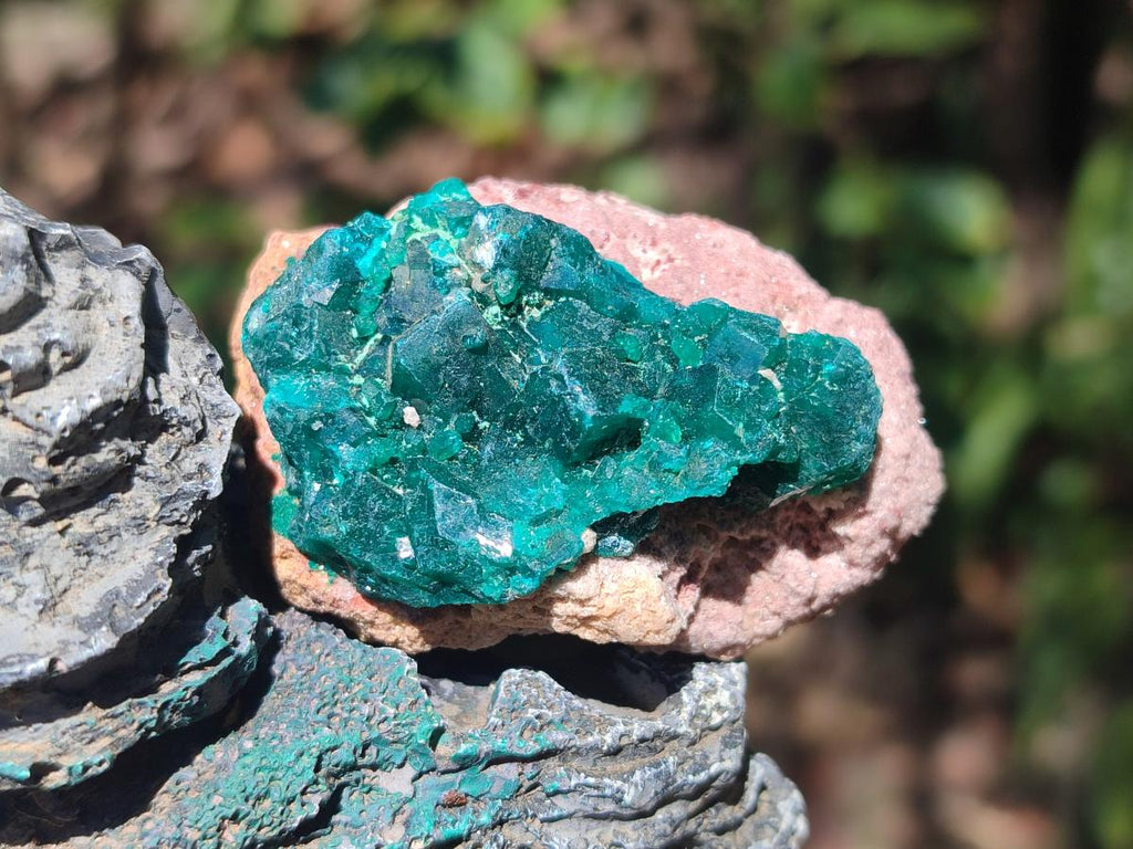 Natural Dioptase Specimens on Dolomite Matrix x 12 From Tantara Mine, Congo