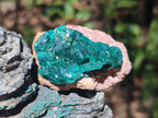 Natural Dioptase Specimens on Dolomite Matrix x 12 From Tantara Mine, Congo