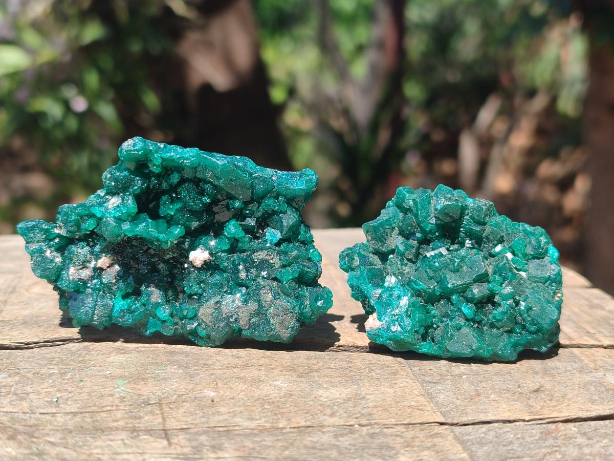 Natural Dioptase Specimens on Dolomite Matrix x 12 From Tantara Mine, Congo