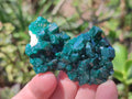Natural Dioptase Specimens on Dolomite Matrix x 12 From Tantara Mine, Congo