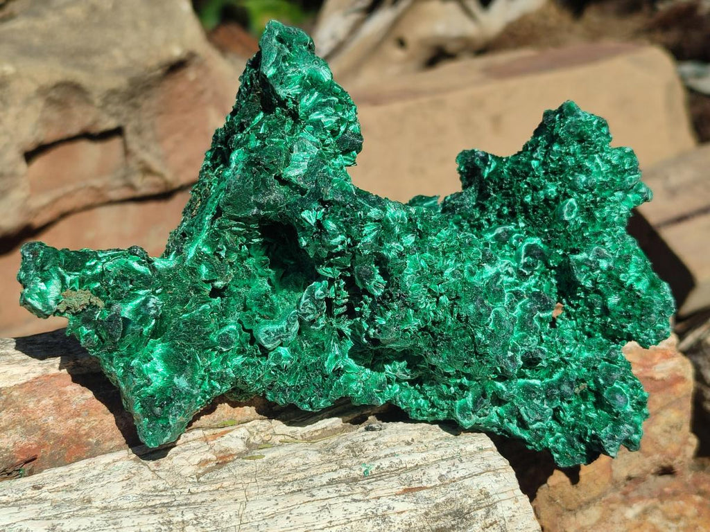Natural Cabinet Size Silky Malachite Specimens x 2 From Kasompe, Congo