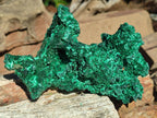 Natural Cabinet Size Silky Malachite Specimens x 2 From Kasompe, Congo