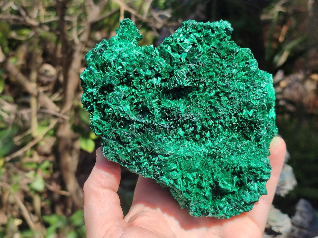 Natural Cabinet Size Silky Malachite Specimens x 2 From Kasompe, Congo