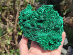 Natural Cabinet Size Silky Malachite Specimens x 2 From Kasompe, Congo