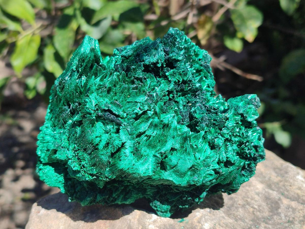 Natural Cabinet Size Silky Malachite Specimens x 2 From Kasompe, Congo