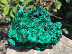 Natural Cabinet Size Silky Malachite Specimens x 2 From Kasompe, Congo