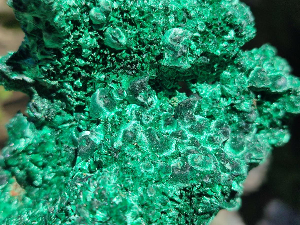 Natural Cabinet Size Silky Malachite Specimens x 2 From Kasompe, Congo
