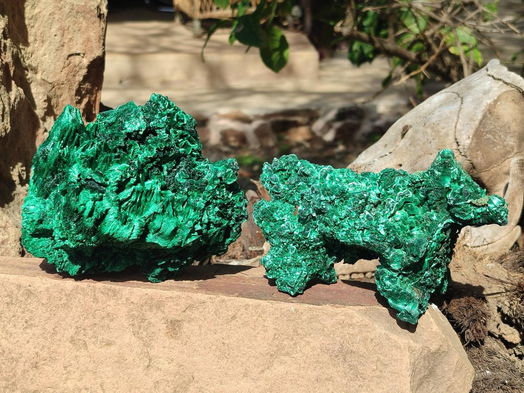 Natural Cabinet Size Silky Malachite Specimens x 2 From Kasompe, Congo
