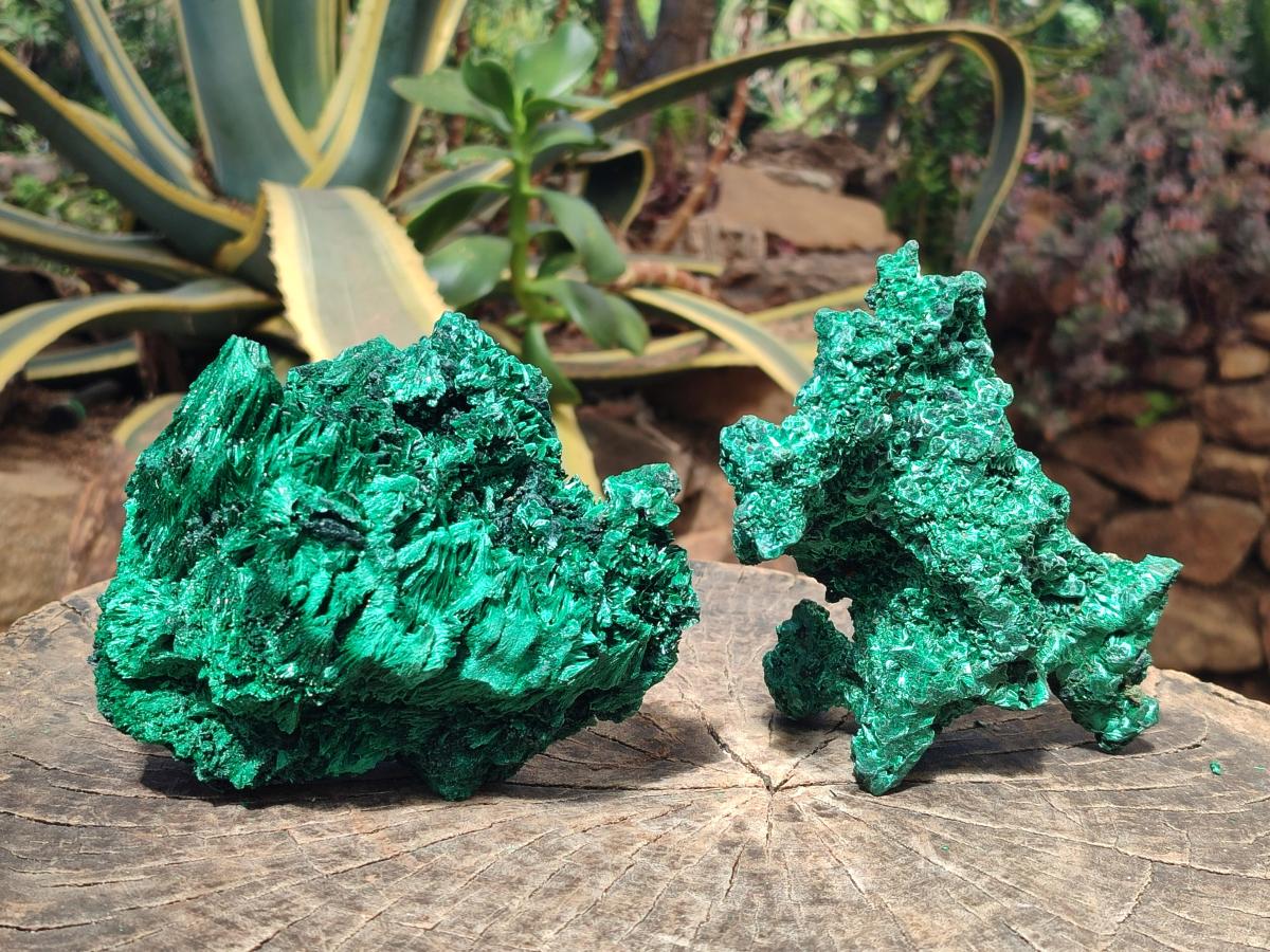 Natural Cabinet Size Silky Malachite Specimens x 2 From Kasompe, Congo