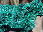 Natural Cabinet Size Silky Malachite Specimens x 2 From Kasompe, Congo