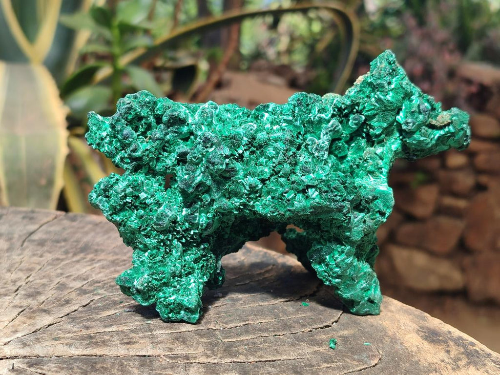 Natural Cabinet Size Silky Malachite Specimens x 2 From Kasompe, Congo