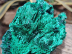 Natural Cabinet Size Silky Malachite Specimens x 2 From Kasompe, Congo