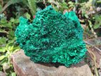 Natural Cabinet Size Silky Malachite Specimens x 2 From Kasompe, Congo