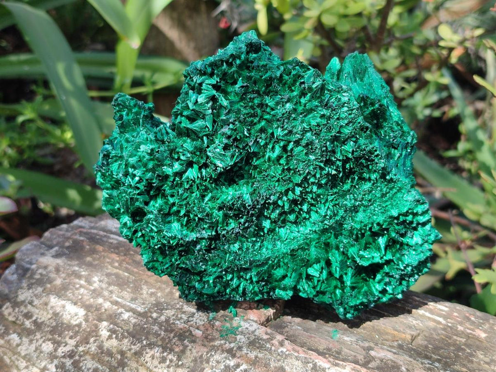 Natural Cabinet Size Silky Malachite Specimens x 2 From Kasompe, Congo