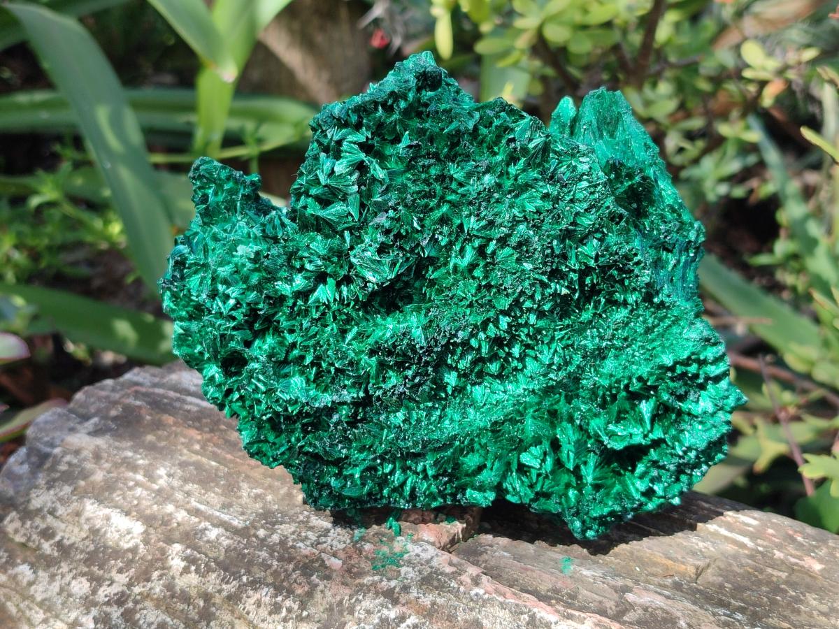 Natural Cabinet Size Silky Malachite Specimens x 2 From Kasompe, Congo