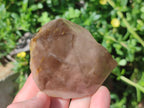 Polished and Natural Smokey Quartz Crystals Terminations x 6 From Madagascar