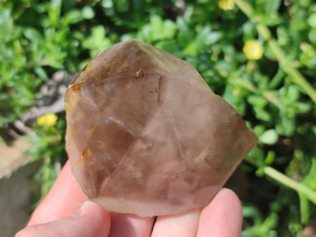 Polished and Natural Smokey Quartz Crystals Terminations x 6 From Madagascar