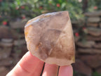 Polished and Natural Smokey Quartz Crystals Terminations x 6 From Madagascar