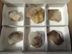 Polished and Natural Smokey Quartz Crystals Terminations x 6 From Madagascar