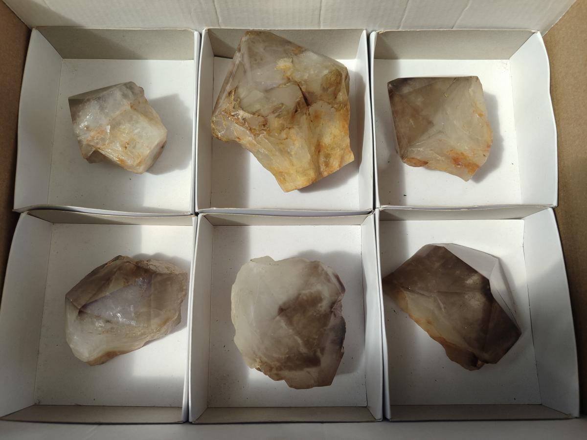 Polished and Natural Smokey Quartz Crystals Terminations x 6 From Madagascar