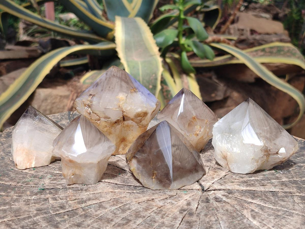 Polished and Natural Smokey Quartz Crystals Terminations x 6 From Madagascar