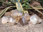 Polished and Natural Smokey Quartz Crystals Terminations x 6 From Madagascar