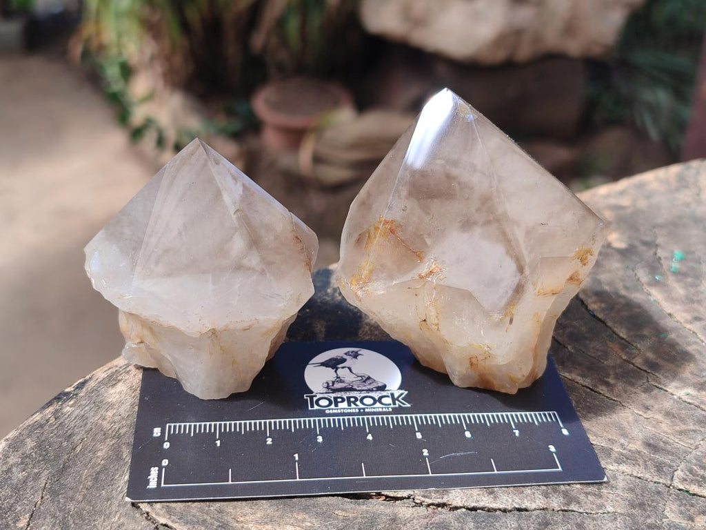 Polished and Natural Smokey Quartz Crystals Terminations x 6 From Madagascar