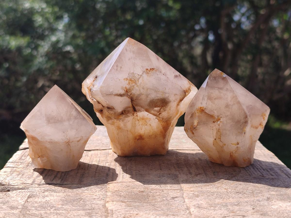 Polished and Natural Smokey Quartz Crystals Terminations x 6 From Madagascar