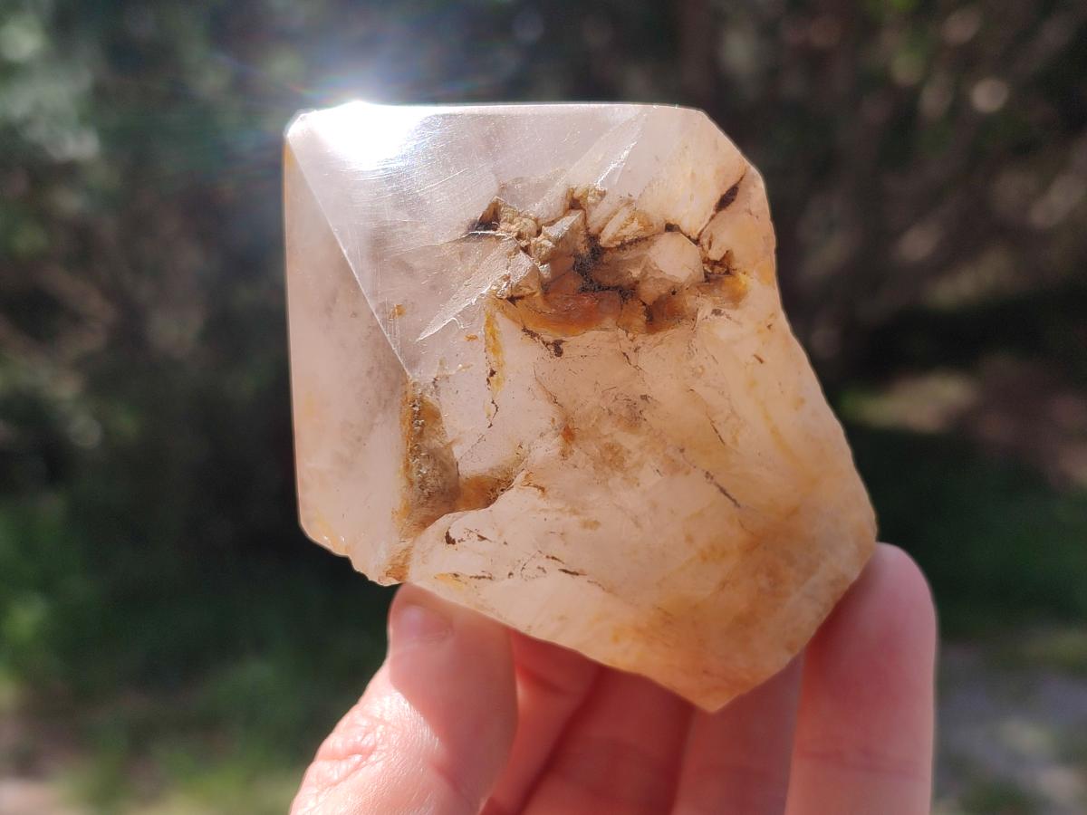 Polished and Natural Smokey Quartz Crystals Terminations x 6 From Madagascar
