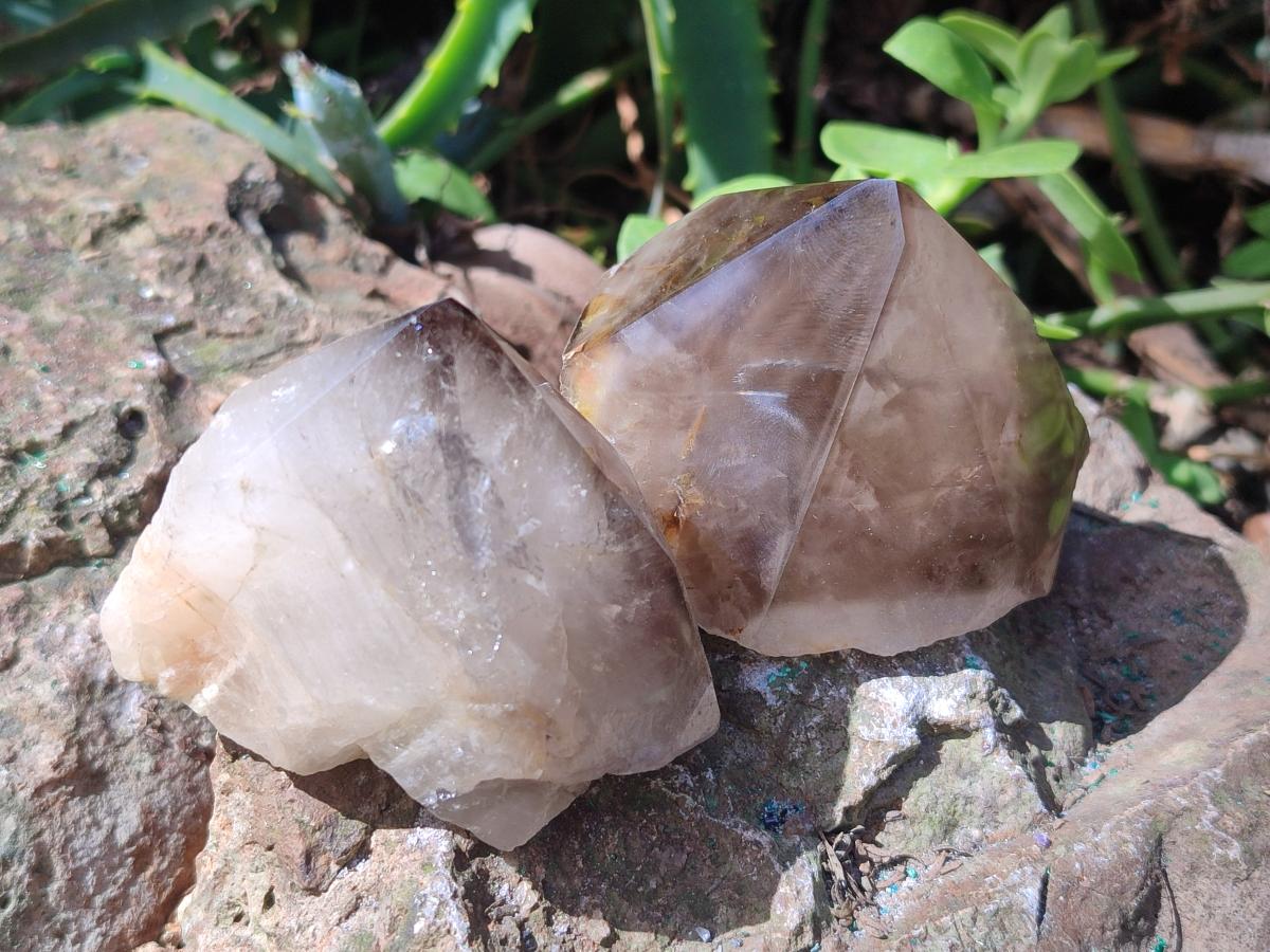 Polished and Natural Smokey Quartz Crystals Terminations x 6 From Madagascar