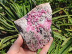 Natural Large Cabinet Size Spherocobaltite Specimens x 2 From Mashamba West Mine, Congo